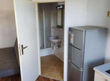 Pronájem bytu, 1+kk, 30 m²