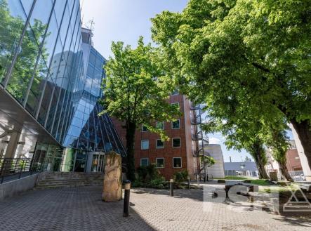 Pronájem kanceláře, 18 m²