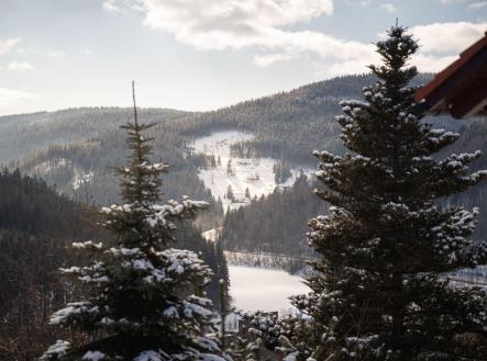 Prodej bytu, 1+kk, 20 m²