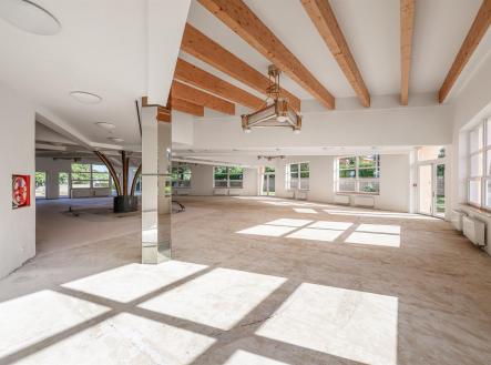 Prodej obchodní prostor, 904 m²