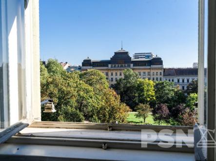 Pronájem kanceláře, 50 m²