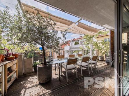 Pronájem bytu, 4+kk, 454 m²