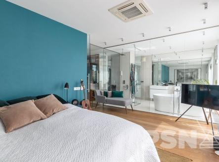 Pronájem bytu, 4+kk, 260 m²