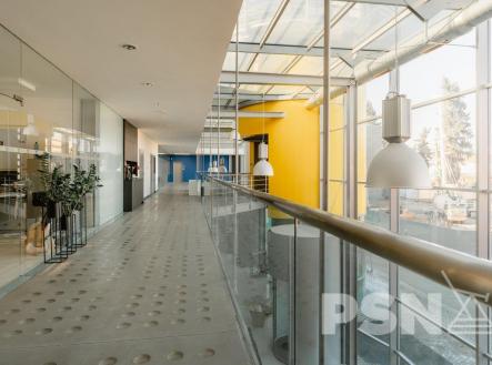 Pronájem kanceláře, 1 000 m²