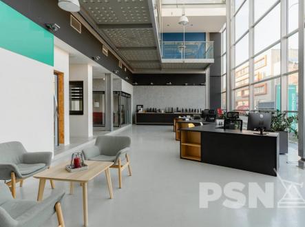 Pronájem obchodní prostor, 1 000 m²