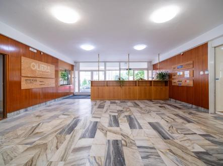 Pronájem kanceláře, 250 m²