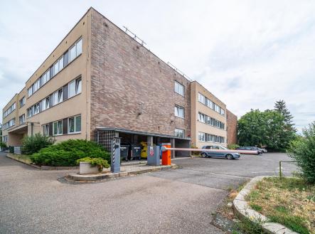 Pronájem kanceláře, 250 m²