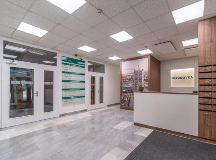 Pronájem kanceláře, 300 m²