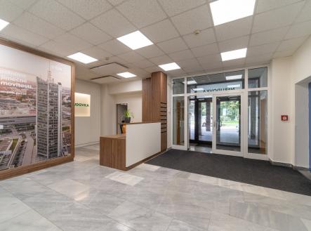 Pronájem kanceláře, 300 m²