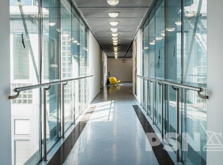 Pronájem kanceláře, 50 m²