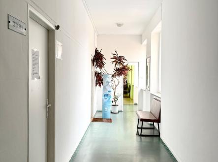 Pronájem komerčního objektu, jiný, 76 m²