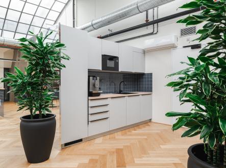 Pronájem kanceláře, 10 m²