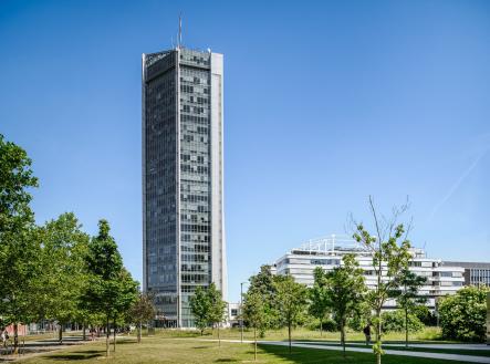 Pronájem kanceláře, 340 m²