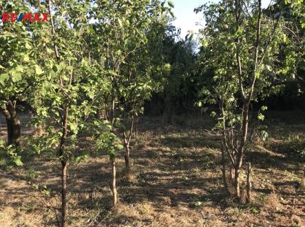 Prodej pozemku pro bydlení, 1 216 m²