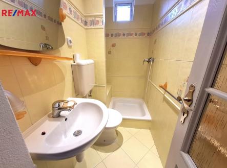 Pronájem bytu, 1+kk, 19 m²