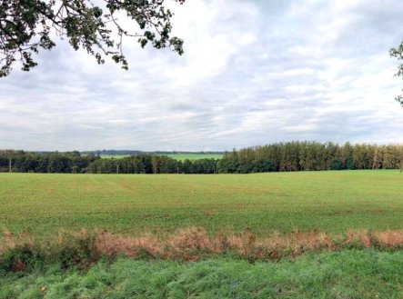 Prodej pozemku, zemědělská půda, 22 505 m²