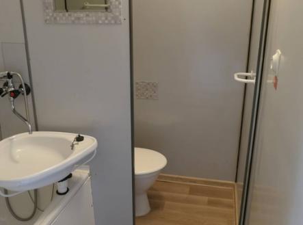 Pronájem bytu, 1+kk, 20 m²