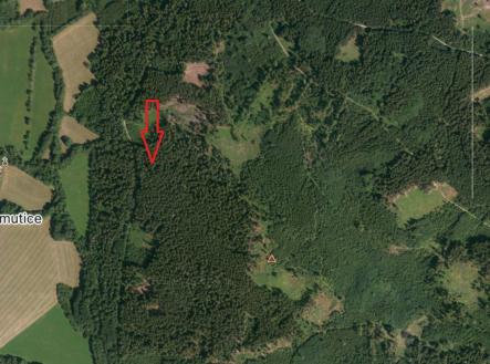 Prodej pozemku, les, 18 883 m²