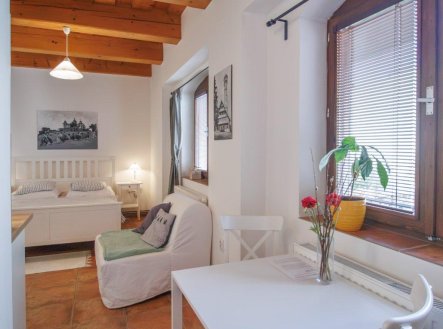 Pronájem bytu, atypický, 25 m², Sušice – náhled fotky 3