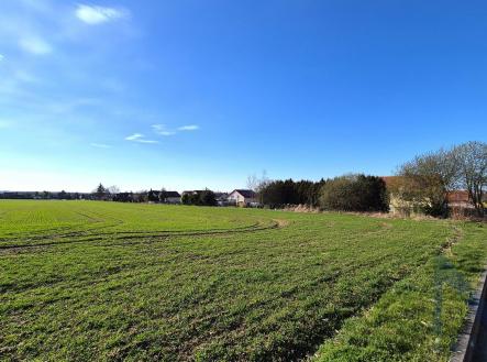 Prodej pozemku, zemědělská půda, 6 296 m²