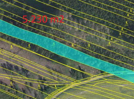 Prodej - pozemek, les, 7 280 m² obrázek