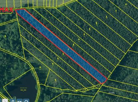 Prodej - pozemek, les, 6 199 m²
