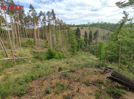 Prodej pozemku, les, 1 493 m²