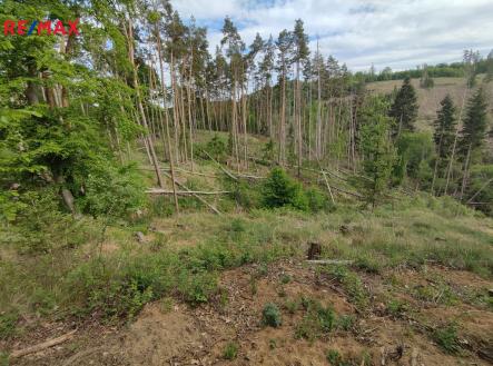 Prodej pozemku, les, 1 493 m²