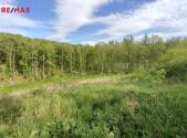 Prodej pozemku, les, 17 681 m²