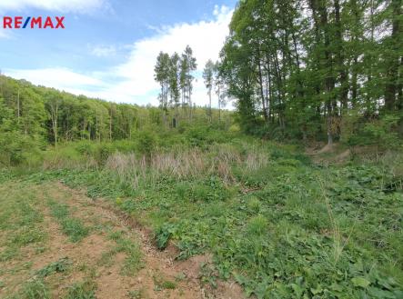 Prodej pozemku, les, 17 681 m²