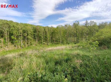 Prodej pozemku, les, 17 681 m²