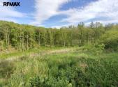 Prodej pozemku, les, 17 681 m²