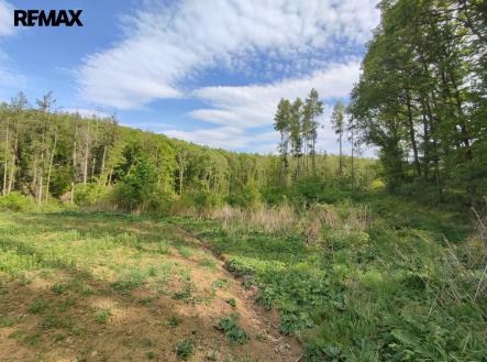 Prodej pozemku, les, 17 681 m²