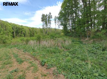 Prodej pozemku, les, 17 681 m²
