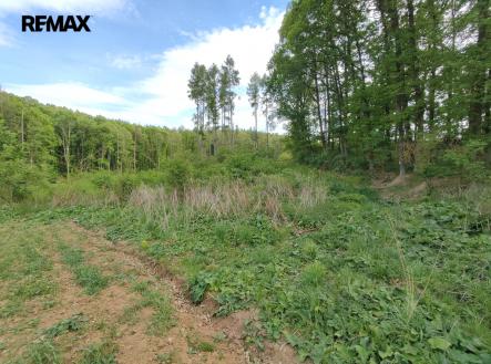 Prodej pozemku, les, 17 681 m²