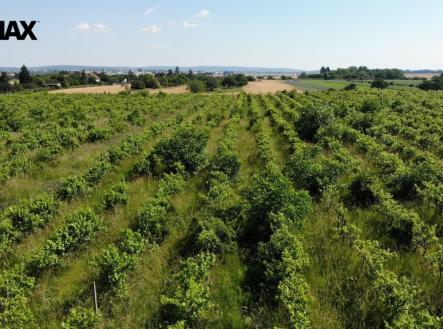 Prodej pozemku pro komerční výstavbu, 2 465 m²