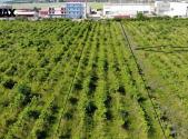 Prodej pozemku pro komerční výstavbu, 2 465 m²