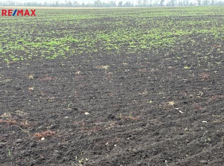 Prodej pozemku, zemědělská půda, 14 681 m²