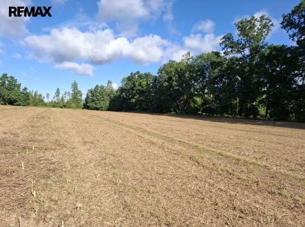 Prodej pozemku, zemědělská půda, 29 662 m²