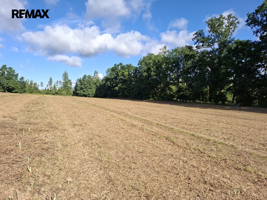 Pozemek parc. č. 33/1