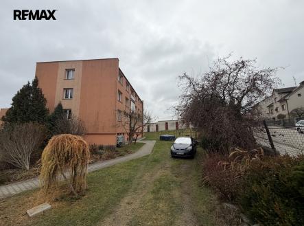 img-3882.jpg