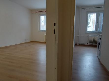 Prodej bytu, 1+1, 42 m²