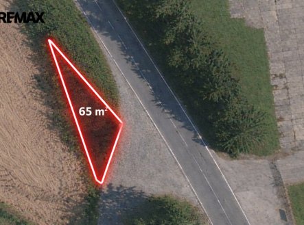 Prodej pozemku se stromy 65 m²