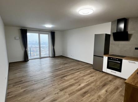 Pronájem bytu, 1+kk, 55 m²