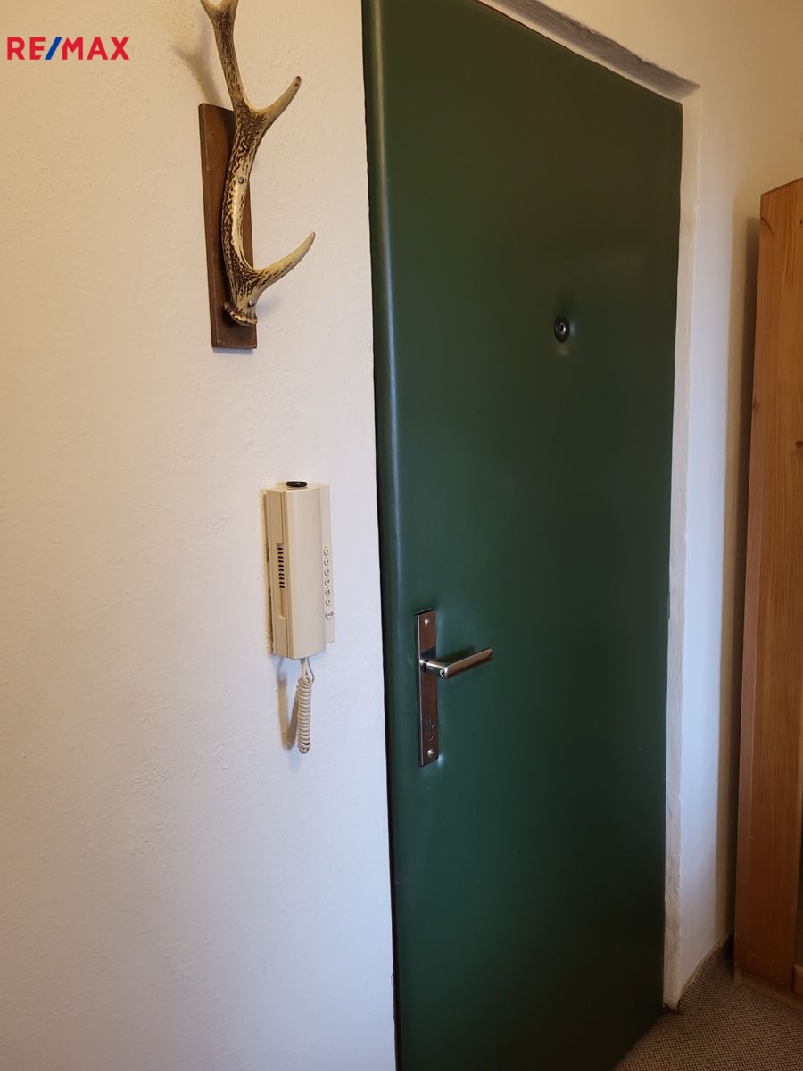 Vstupní dveře do bytu