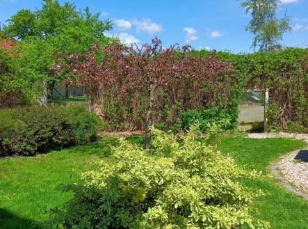 Prodej hotel, 700 m²