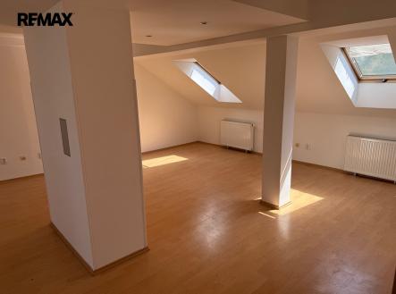 Prodej jiné komerční nemovitosti, 250 m²