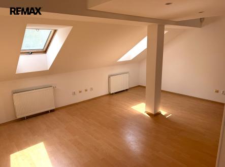 Prodej jiné komerční nemovitosti, 250 m²
