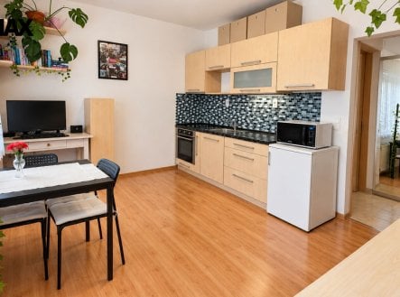 Prodej bytu, 1+kk, 29 m²