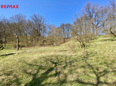 Prodej pozemku, zahrada, 3 807 m²